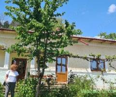 Casa si teren de vanzare Moinesti