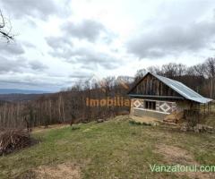 TEREN 34.000 MP | SERANI BIHOR