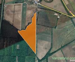 Teren Arabil La Ieșirea Din Deta (Timis) Lukoil 22.87 HA