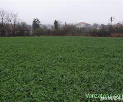 Teren de vanzare