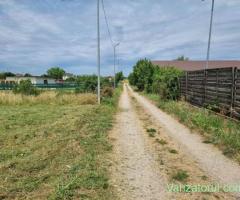 Vand teren intravilan, 972 m, comuna Cernica, sat Tanganu strada Pinului