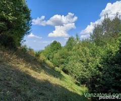 Vand teren