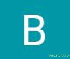 Se caută muncitori cu experiență în domeniul construcțiilor pentru angajare în Norvegia.
