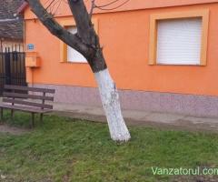 Proprietar vând casă în Giarmata Mare