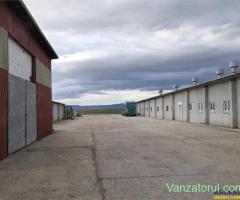 Hala industriala versatila,spatii cazare, platforma betonata,2.300 mp,Halchiu