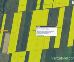 Vand teren agricol extravilan in sat Urseni, 18000mp, la 200m de toate utilitatile, pe sud, 3km Timi