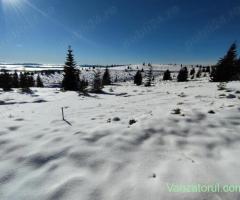 Vand teren intravilan 2666 mp comuna Horea Alba langa varful Petreasa 1600m altitudine