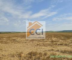 Teren intravilan– 50.000 mp, Bacău, Șoseaua Hol