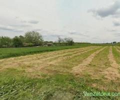 De Vanzare Teren Intravilan Comuna Cuza Voda Judetul Calarasi 2000mp