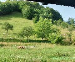 Parcela teren intravilan Vata de Sus, Judetul Hunedoara