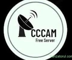 Linii cccam Thor 0,8W