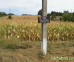 Teren intravilan 43,8 m deschidere