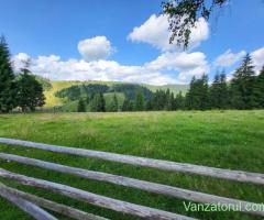 Se vinde Teren In Ortoaia