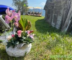 Vanzare Afacere la Cheie pe Transapuseana
