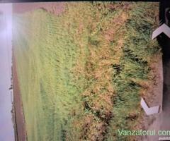 Vând 5600mp teren constructii investiții