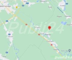 Teren Frumusani Padurisu