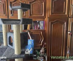 3 cam dec et intermediar bloc izolat Sagului Rebreanu