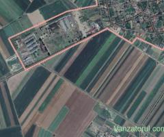 Vând teren agricol extravilan in Cujmir