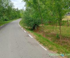 Teren intravilan 756 mp in localitatea Borozel, jud Bihor,, cu schița cadastrala și utilități