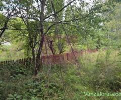 Teren de vanzare 1500 mp in Telega