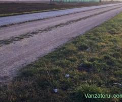 Teren Corbu , la betonata!