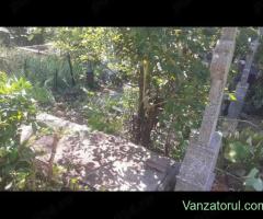 Concesionez Loc Veci Dublu -Cimitirul Buna Vestire Giulești, București