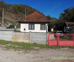 Casa de vanzare + teren si padure