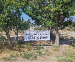 Proprietar vand teren -Teleorman-Radoiesti/Cetate-Comision 0!