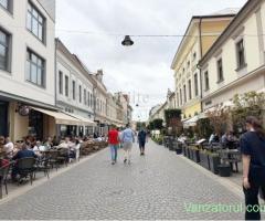 Spatiu Comercial Pietonala Vasile Alecsandri | 200 mp | Vitrina ampla