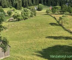 Teren de vanzare Fundata - Brasov