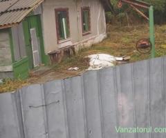 Vand casa la tară,Silistea, Lehliu Gară !