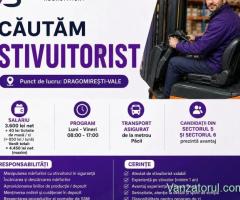 Stivuitorist Reach Truck - depozit Dragomiresti Vale - Transport asigurat