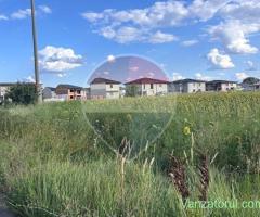 Teren intravilan 20000mp | Chitila | Oportunitate de Investiție