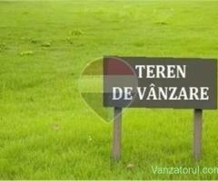 Teren intravilan de vanzare / loc de casa in Zerind 771 mp