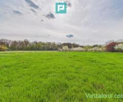 Teren intravilan, 820 mp, Pădure Giroc