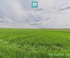 Teren extravilan 19.900 mp – Giroc centură