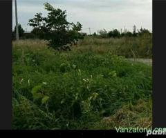 Teren intravilan in Giarmata 915 mp FS 27 ml