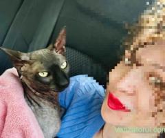 Moby caută o casă fără alte animale și fără copii mici - ideal, o familie care cunoaște deja rasa