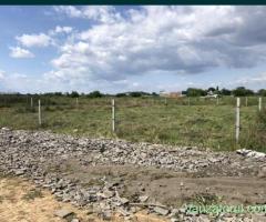 Teren sector 5 sau schimb casa sau apt Bucuresti