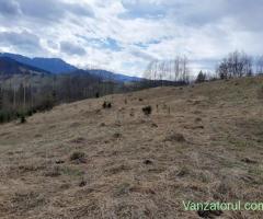 Teren Bucovina Câmpulung Moldovenesc Pârâul Șandru