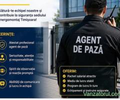 Cautam - agent de paza - Timisoara