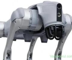 Robotdog go2 pro