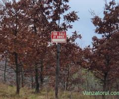 Teren de vanzare Resita.