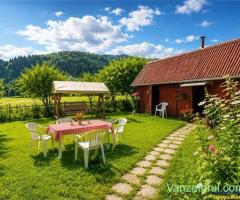 FILM Tur LIVE! Casa de vacanta, intr- o ariere admirabila, Lunca Bradului, Mures