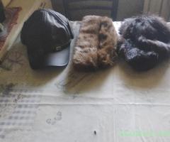 Căciulă barbati imblanită