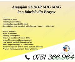 Angajăm Sudor MIG MAG