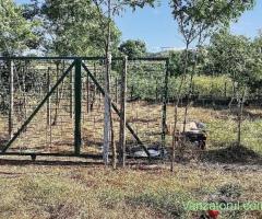 400mp teren extravilan in sat Victoria ( Nufaru) Tulcea