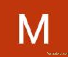 Creare Website, Marketing și Promovare Online