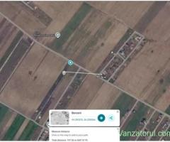 Teren intravilan 317 mp Comuna Berceni