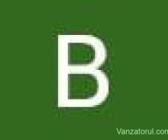 Angajam urgent bucatari